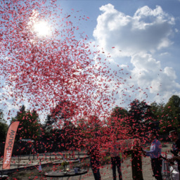 start-bouw-eikenhof